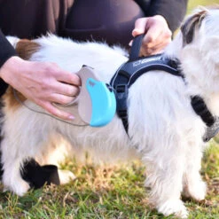 Ferplast AMIGO CORD Guinzaglio Allungabile Con Cordino. 4 Misure E Vasta Scelta Di Colori.. Variante MINI - Misure: 12 X 3 X H 10 Cm - Lilla -Cibi per cani in Italia 10341547 3