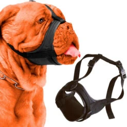 Ferplast SAFE BOXER Museruola Imbottita E Regolabile Per Cani Dal Muso Corto. Variante SAFE BOXER - Misure: A: 50-80 Cm B: 20-30 Cm C: 10 Cm - -Cibi per cani in Italia 10504411 3