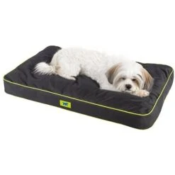 Ferplast POLO Materassino Con Imbottitura Estraibile. In Vari Colori E Misure.. Variante 65 - Misure: 65 X 40 X H 8 Cm - Nero 9 Ferplast POLO Materassino Con Imbottitura Estraibile. In Vari Colori E Misure.. Variante 65 - Misure: 65 X 40 X H 8 Cm - Nero -Cibi per cani in Italia 10505014 4