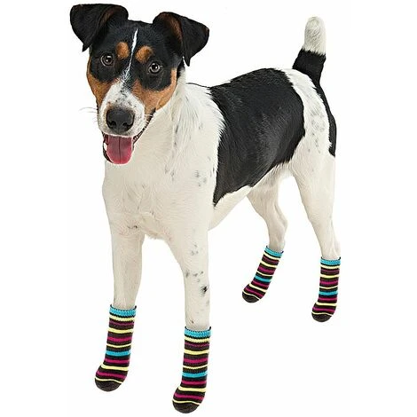 Ferplast PET SOCKS ANTISLIP Calzini Per Cani Con Antiscivolo - 3 Misure. Variante SMALL - Misure: 6.5 X 2.5 X H 0.8 Cm - Colori Misti 4 Ferplast PET SOCKS ANTISLIP Calzini Per Cani Con Antiscivolo - 3 Misure. Variante SMALL - Misure: 6.5 X 2.5 X H 0.8 Cm - Colori Misti - immagine 2