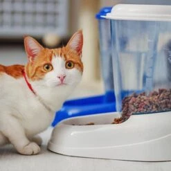 Ferplast ZENITH - 3 L Distributore Di Crocchette - 2 Colori. Variante - Misure: 20.2 X 29.2 X H 28.8 Cm - 3 L - Blu -Cibi per cani in Italia 10505316 4