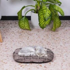 Ferplast RELAX C Cuscino In Cotone Con Soffice Imbottitura. Varie Misure.. Variante 45/2 - Misure: 43 X 30 Cm - Marrone -Cibi per cani in Italia 10505592 3