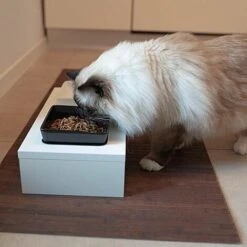 Ferplast MAKI Portaciotole In Legno Con Ciotole In Ceramica. Variante 01 - Misure: 40 X 21 X H 13 Cm - 1 L - Bianco 9 Ferplast MAKI Portaciotole In Legno Con Ciotole In Ceramica. Variante 01 - Misure: 40 X 21 X H 13 Cm - 1 L - Bianco -Cibi per cani in Italia 10505672 3