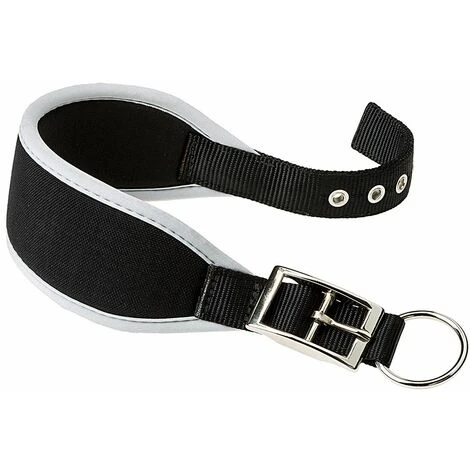 Ferplast ERGOCOMFORT CW Collare Imbottito Per Levrieri. Varie Misure. . Variante CW15/32 - Misure: A: 26-32 Cm B: 15 Mm - Nero 3 Ferplast ERGOCOMFORT CW Collare Imbottito Per Levrieri. Varie Misure. . Variante CW15/32 - Misure: A: 26-32 Cm B: 15 Mm - Nero