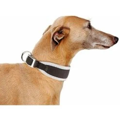 Ferplast ERGOCOMFORT CW Collare Imbottito Per Levrieri. Varie Misure. . Variante CW15/32 - Misure: A: 26-32 Cm B: 15 Mm - Nero 8 Ferplast ERGOCOMFORT CW Collare Imbottito Per Levrieri. Varie Misure. . Variante CW15/32 - Misure: A: 26-32 Cm B: 15 Mm - Nero -Cibi per cani in Italia 10505838 3