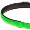 Ferplast DAYTONA CSS Collare A Semistrangolo Con Imbottitura Soft. In Vari Colori E Misure.. Variante CSS15/45 - Misure: A: 45 Cm - B: 15 Mm - Verde Acido -Cibi per cani in Italia 10506029 3