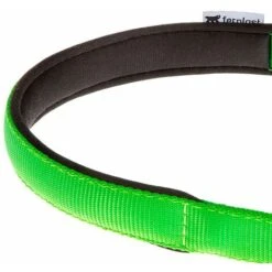 Ferplast DAYTONA CSS Collare A Semistrangolo Con Imbottitura Soft. In Vari Colori E Misure.. Variante CSS15/45 - Misure: A: 45 Cm - B: 15 Mm - Verde Acido