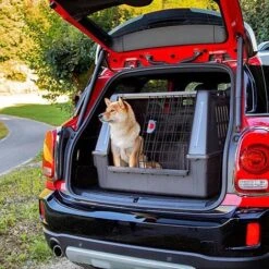 Ferplast ATLAS CAR SCENIC Trasportino Per Cani Da Auto. Varie Misure. . Variante 80 - Misure: 82 X 51 X H 61 Cm - Nero -Cibi per cani in Italia 10506536 4