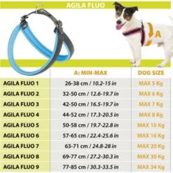 Ferplast AGILA FLUO 1-2 Pettorina Ergonomica Per Cani Con Morbida Imbottitura. Chiusura Con Cordino.. Variante 1 - Misure: A=B 26-38 Cm 15 Mm - Arancione -Cibi per cani in Italia 11242558 3