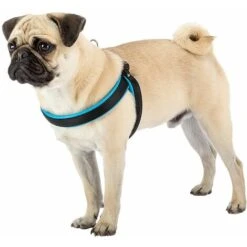 Ferplast AGILA FLUO 3-9 Pettorina Ergonomica Per Cani Con Morbida Imbottitura. Chiusura Con Cordino.. Variante 3 - Misure: A=B 42-50 Cm 15 Mm - Arancione -Cibi per cani in Italia 11379946 3