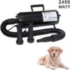 Turbo Pet Hair Dryer 2 Motori Phon Per Cani Pulsore 2400 Watt -Cibi per cani in Italia 11509818 1
