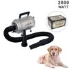 Phon Per Cani Professionale Pulsore Con Resistenza 2800 Watt Turbo Monster