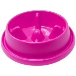 ALSO – ADAGIO CIOTOLA ANTI INGOZZAMENTO 21 X 12 CM. – 1873 -Cibi per cani in Italia 12846509 2