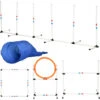 PawHut Set Per Addestramento Cani Con Salto, Tunnel, Slalom E Anello -Cibi per cani in Italia 14344667 1
