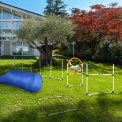 PawHut Set Per Addestramento Cani Con Salto, Tunnel, Slalom E Anello -Cibi per cani in Italia 14344667 2