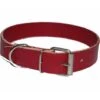 Collare Per Cane In Cuoio Taglia Media Misura 510x25 Mm -Cibi per cani in Italia 1446345 1