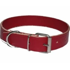 Collare Per Cane In Cuoio Taglia Media Misura 510x25 Mm