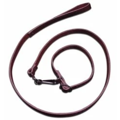 Guinzaglio In Cuoio Con Collare Per Cani Di Piccola E Media Taglia