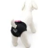 Camon Mutandina Igienica In Microfibra Con Fiocco Da 26 Cm Per Cani Femmina -Cibi per cani in Italia 15717704 1