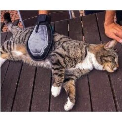 Guanto Spazzola Animali Domestici Toelettatura Cattura Peli Lavaggio Massaggio 10 Guanto Spazzola Animali Domestici Toelettatura Cattura Peli Lavaggio Massaggio -Cibi per cani in Italia 16092222 4