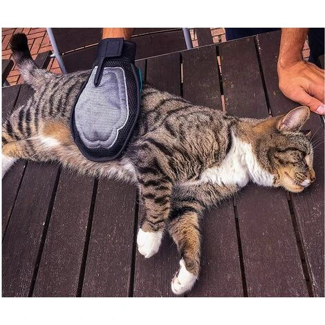 Guanto Spazzola Animali Domestici Toelettatura Cattura Peli Lavaggio Massaggio 6 Guanto Spazzola Animali Domestici Toelettatura Cattura Peli Lavaggio Massaggio - immagine 4