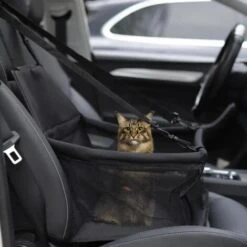 Trasportino Auto Per Sedile Per Cani Cesto Porta Seggiolino Gatto Animali -Cibi per cani in Italia 16142418 4