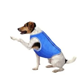 Abito Vestito Pettorina Rinfrescante Refrigerante Per Cane Taglia S Fino A 50 Cm -Cibi per cani in Italia 16142555 4