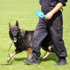 Forbici Raccogli Escrementi Cani Feci Animali Portatile Con 3 Rotoli Sacchetti -Cibi per cani in Italia 16167123 3