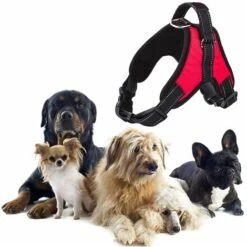 Pettorina Imbracatura Per Cane Maglia Aperta Taglia XS Extrasmall 30-42cm 3-5kg