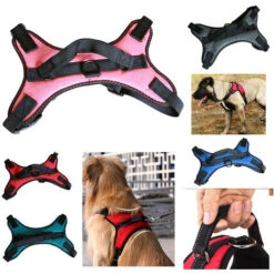Pettorina Imbracatura Per Cane Maglia Aperta Taglia XS Extrasmall 30-42cm 3-5kg -Cibi per cani in Italia 16215507 3