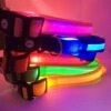 Collare Luminoso Lampeggiante A LED Per Cani Di Piccola Taglia Colore - Rosa, Misura - Larghezza 2.5 Cm X Lunghezza (35-43) Cm