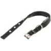 Ferplast Daytona C Collare In Nylon Per Cani 15mm X 35cm Nero -Cibi per cani in Italia 16815030 1