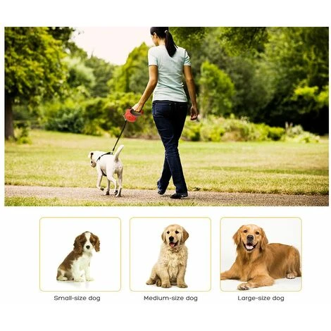 Guinzaglio Per Cani Piccola Taglia 3M Allungabile Gancio Retrattile Avvolgibile 4 Guinzaglio Per Cani Piccola Taglia 3M Allungabile Gancio Retrattile Avvolgibile - immagine 2