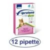 Fipralone Duo Gatto 12 Pipette Antiparassitario Per Gatti -Cibi per cani in Italia 17950716 1