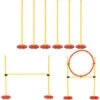 PawHut Set Agility Dog Con Paletti Ed Anello Regolabile Per Addestramento Cani