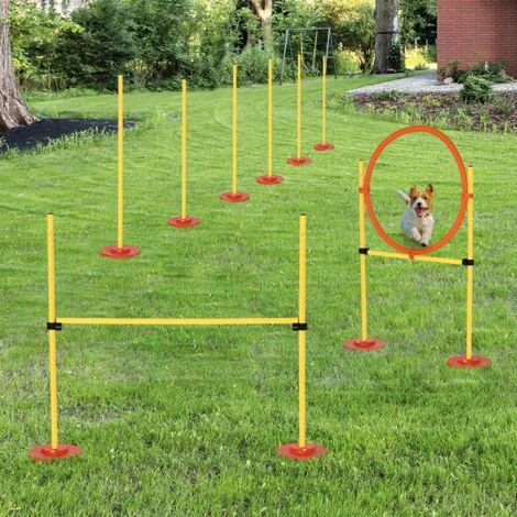 PawHut Set Agility Dog Con Paletti Ed Anello Regolabile Per Addestramento Cani 4 PawHut Set Agility Dog Con Paletti Ed Anello Regolabile Per Addestramento Cani - immagine 2