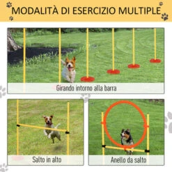 PawHut Set Agility Dog Con Paletti Ed Anello Regolabile Per Addestramento Cani 11 PawHut Set Agility Dog Con Paletti Ed Anello Regolabile Per Addestramento Cani -Cibi per cani in Italia 19805711 5