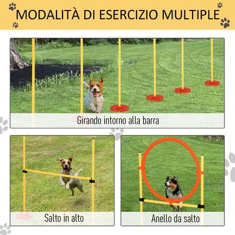 PawHut Set Agility Dog Con Paletti Ed Anello Regolabile Per Addestramento Cani 7 PawHut Set Agility Dog Con Paletti Ed Anello Regolabile Per Addestramento Cani - immagine 5