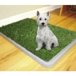 LETTIERA WC LAVABILE CANE 3 STRATI POTTY PATCH DOG TOILETTE BISOGNI ANIMALI -Cibi per cani in Italia 23233375 2