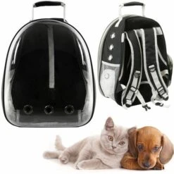 Zaino Trasportino In Plastica Rigida Per Trasporto Di Animali Domestici Cani E Gatti Borsa Da Viaggio