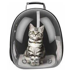Zaino Trasportino In Plastica Rigida Per Trasporto Di Animali Domestici Cani E Gatti Borsa Da Viaggio -Cibi per cani in Italia 23241891 3