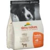 Almo Nature Cane Holistic Medium Agnello & Riso Disponibile Nei Formati 2 - 12 Kg - Size 2 Kg 2 Almo Nature Cane Holistic Medium Agnello & Riso Disponibile Nei Formati 2 - 12 Kg - Size 2 Kg -Cibi per cani in Italia 26007825 1