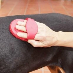 Ibanez Spazzola Ovale Rossa In Gomma -Cibi per cani in Italia 26442988 2