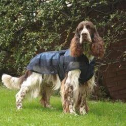 Ibanez Gilet Rinfrescante Per Cani IBÁÑEZ Dimensione Fresco Istantaneo - 25 Cm. -Cibi per cani in Italia 26444354 4