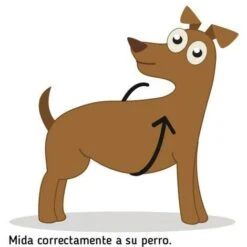 Ibanez Imbracatura Adolescenziale SIZE XS JASEPPED -Cibi per cani in Italia 26444826 5