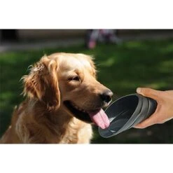 Ibanez Bottiglia Portatile Per Piccole Bottiglie In Acciaio 350 ML. -Cibi per cani in Italia 26445178 2