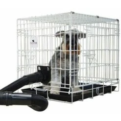 Ibanez Espulsore E Essiccatore Ibáñez 2-Force -Cibi per cani in Italia 26446499 5