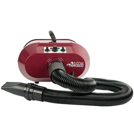 Ibanez Dryer-Expeller Forcetek Ibañez, Con Regolatore Di Temperatura, Due Motori, Per Negozi Di Toelettatura E Allevatori Di Cani 4 Ibanez Dryer-Expeller Forcetek Ibañez, Con Regolatore Di Temperatura, Due Motori, Per Negozi Di Toelettatura E Allevatori Di Cani - immagine 2