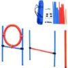 PawHut Set Agility Dog Addestramento Cani, Ostacoli E Slalom, Sacca Di Trasporto 2 PawHut Set Agility Dog Addestramento Cani, Ostacoli E Slalom, Sacca Di Trasporto -Cibi per cani in Italia 27977564 1