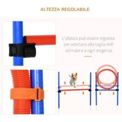 PawHut Set Agility Dog Addestramento Cani, Ostacoli E Slalom, Sacca Di Trasporto -Cibi per cani in Italia 27977564 5